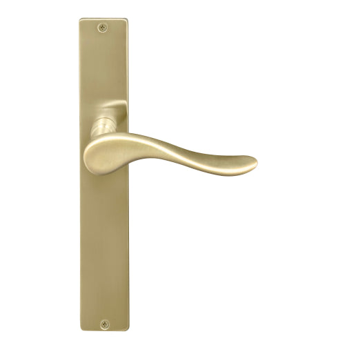 Haven Square Backplate in Satin Brass Unlaquered