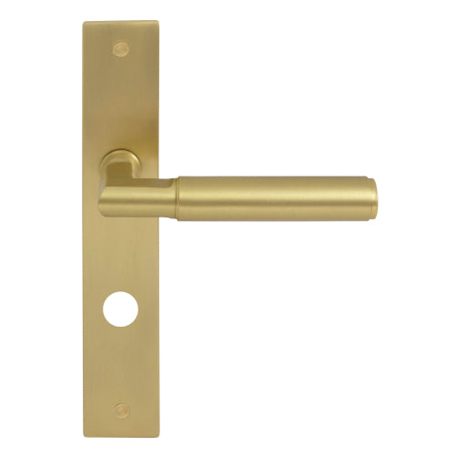 NIDO - Sona Lever on Backplate - P85mm in Matt Satin Brass