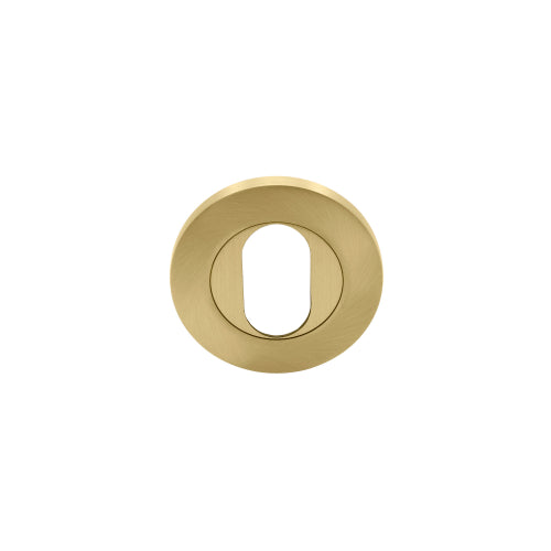 NIDO Oval Escutcheon, Single in Matt Satin Brass