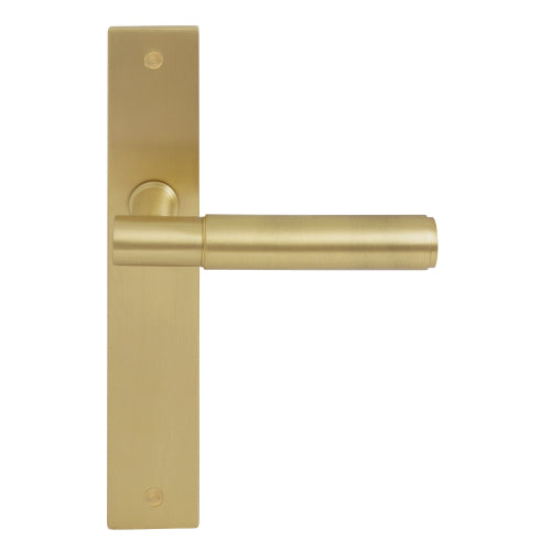 NIDO - Verge Plain Lever on Backplate in Matt Satin Brass