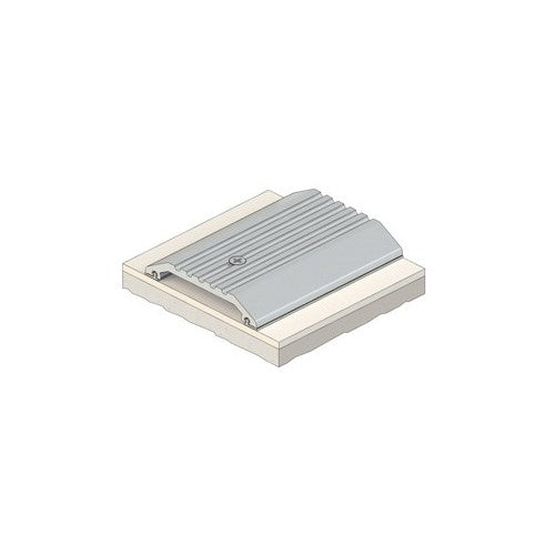 RAVEN RP29 Threshold Plate 3000mm in Clear Anodised