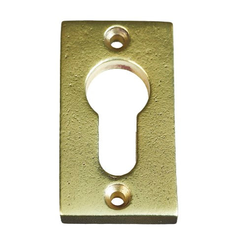 ESCUTCHEON CYLINDER / AGED GOLD / VERTICAL / PC in Aged Gold