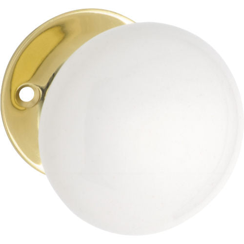Door Knob White Porcelain Round Rose Pair Polished Brass D55xP57mm in Polished Brass
