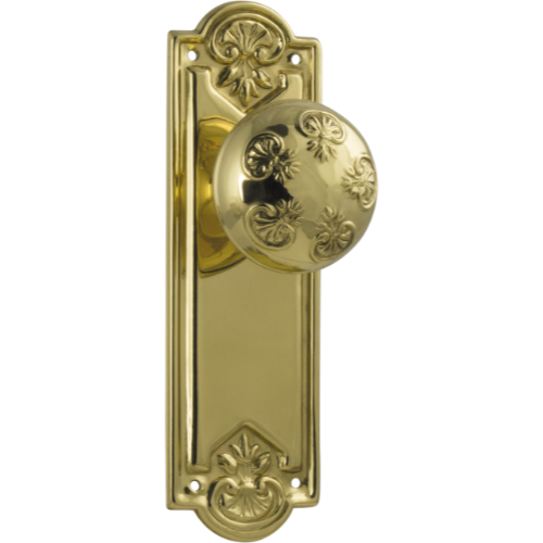 Door Knob Nouveau Latch Pair Polished Brass H188xW58xP60mm in Polished Brass