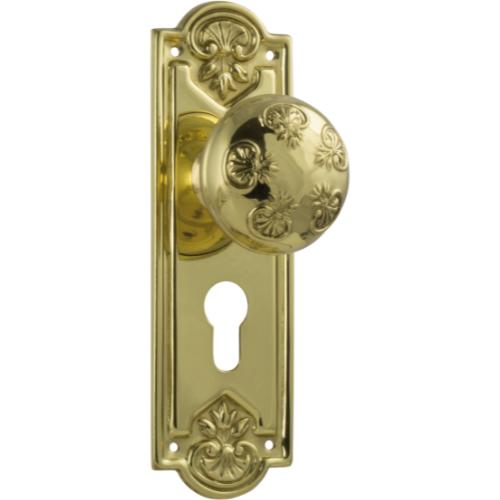 Door Knob Nouveau Euro Pair Polished Brass H188xW58xP60mm in Polished Brass