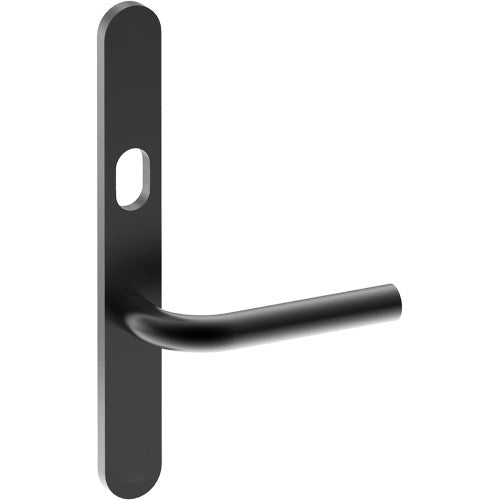 CAPRI Door Handle on B01 EXTERNAL Australian Standard Backplate with Cylinder Hole, Concealed Fixing (Half Set) 64mm CTC in Black Teflon