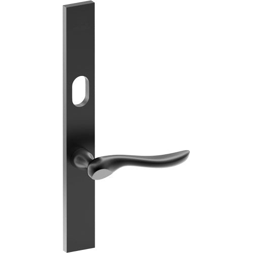 CATALONA Door Handle on B02 EXTERNAL Australian Standard Backplate with Cylinder Hole, Concealed Fixing (Half Set) 64mm CTC in Black Teflon