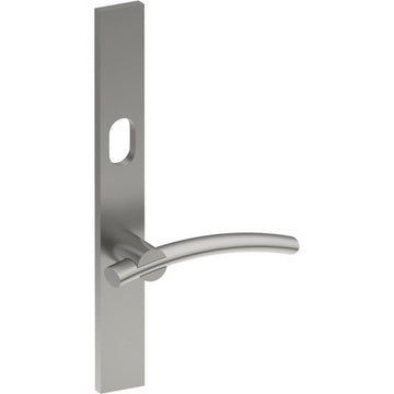 LAGUNA Door Handle on B02  EXTERNAL Australian Standard Backplate with Cylinder Hole, Concealed Fixing (Half Set) 64mm CTC in Satin Stainless