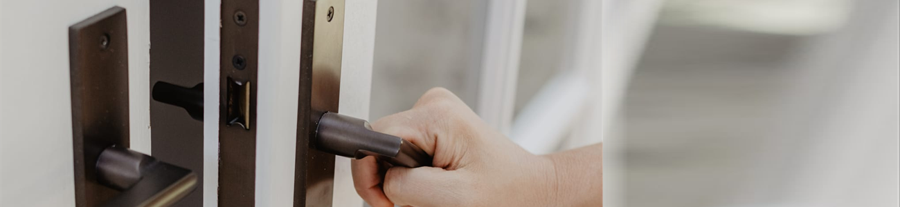 Solid Brass Door Handles on Long Backplate