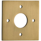 Adaptor Plate (Pair) Square Rose Brushed Brass H60xW60mm in Brushed Brass