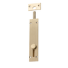 Barrel Bolt Reverse Satin Brass L150xW32mm in Satin Brass