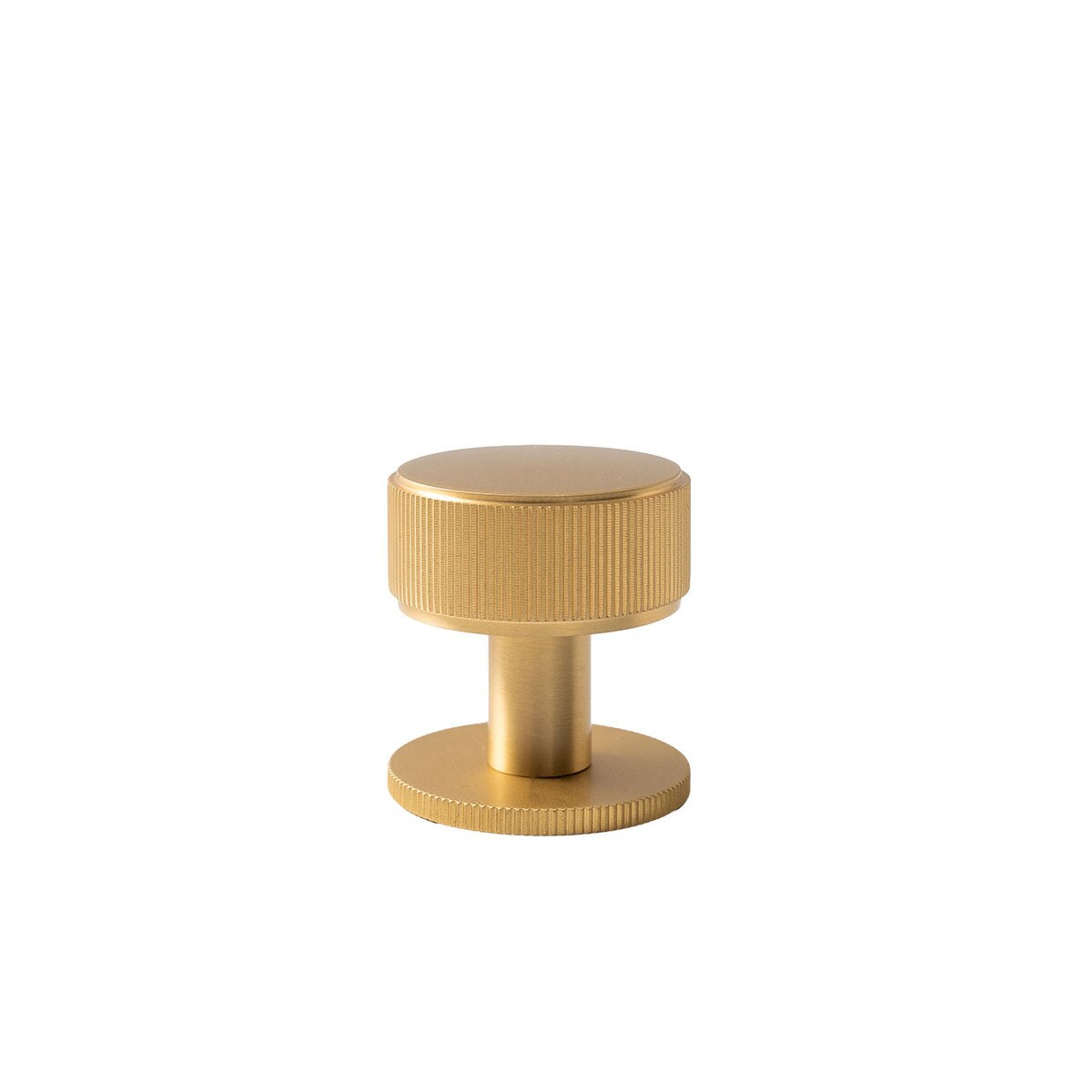 MOMO BELGRAVIA LINED 35MM SOLID BRASS ROUND KNOB BRUSHED SATIN BRASS in Brushed Satin Brass