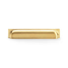 Hastings 203mm Cup Pull - Satin Brass PVD in Satin Brass PVD