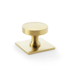 Hastings 38mm Knob on Backplate - Satin Brass PVD in Satin Brass PVD