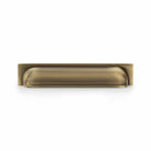 Hastings 203mm Cup Pull in Aged Brass