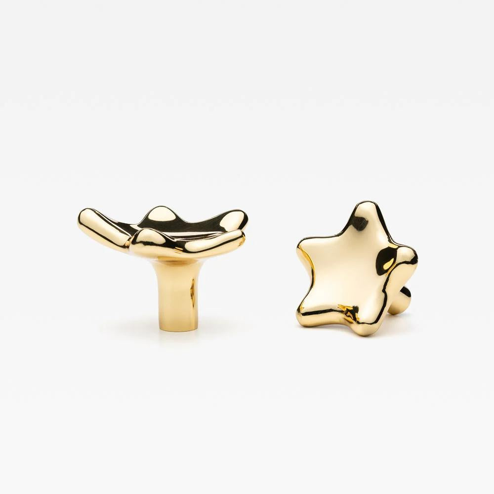 Star Knob Polished Brass 40mm (1.57") Small in Polished Brass