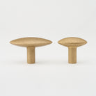 Almond Knob Tumbled Brass in Tumbled Brass