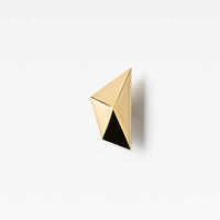 Maximus Knob Polished Brass in Polished Brass