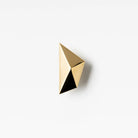 Maximus Knob Polished Brass in Polished Brass