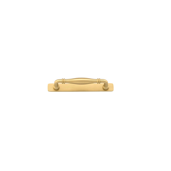 Cabinet Pull Sarlat Brushed Gold PVD L144xP46mm BD16mm CTC128mm With Backplate W173xH24mm T3mm in Brushed Gold PVD