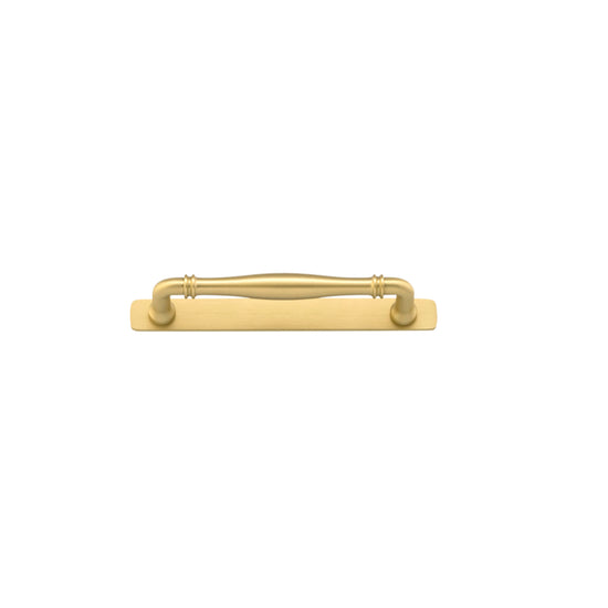 Cabinet Pull Sarlat Brushed Gold PVD L178xP50mm BD18mm CTC160mm With Backplate W205xH24mm T3mm in Brushed Gold PVD