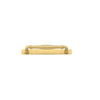 Cabinet Pull Sarlat Brushed Gold PVD L178xP50mm BD18mm CTC160mm With Backplate W205xH24mm T3mm in Brushed Gold PVD