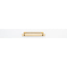 Cabinet Pull Brunswick Knurled Brushed Gold PVD L170xW15xP40 CTC160mm with Backplate in Brushed Gold PVD