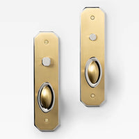 Duet Passage Brass 230mm x 60mm (9.05" x 2.36") in Brushed Brass/Polished Nickel