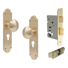 Victorian Knob Plate - Locking Euro in Satin Brass Unlaquered