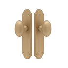 Oval Knob Latch in Matt Satin Brass