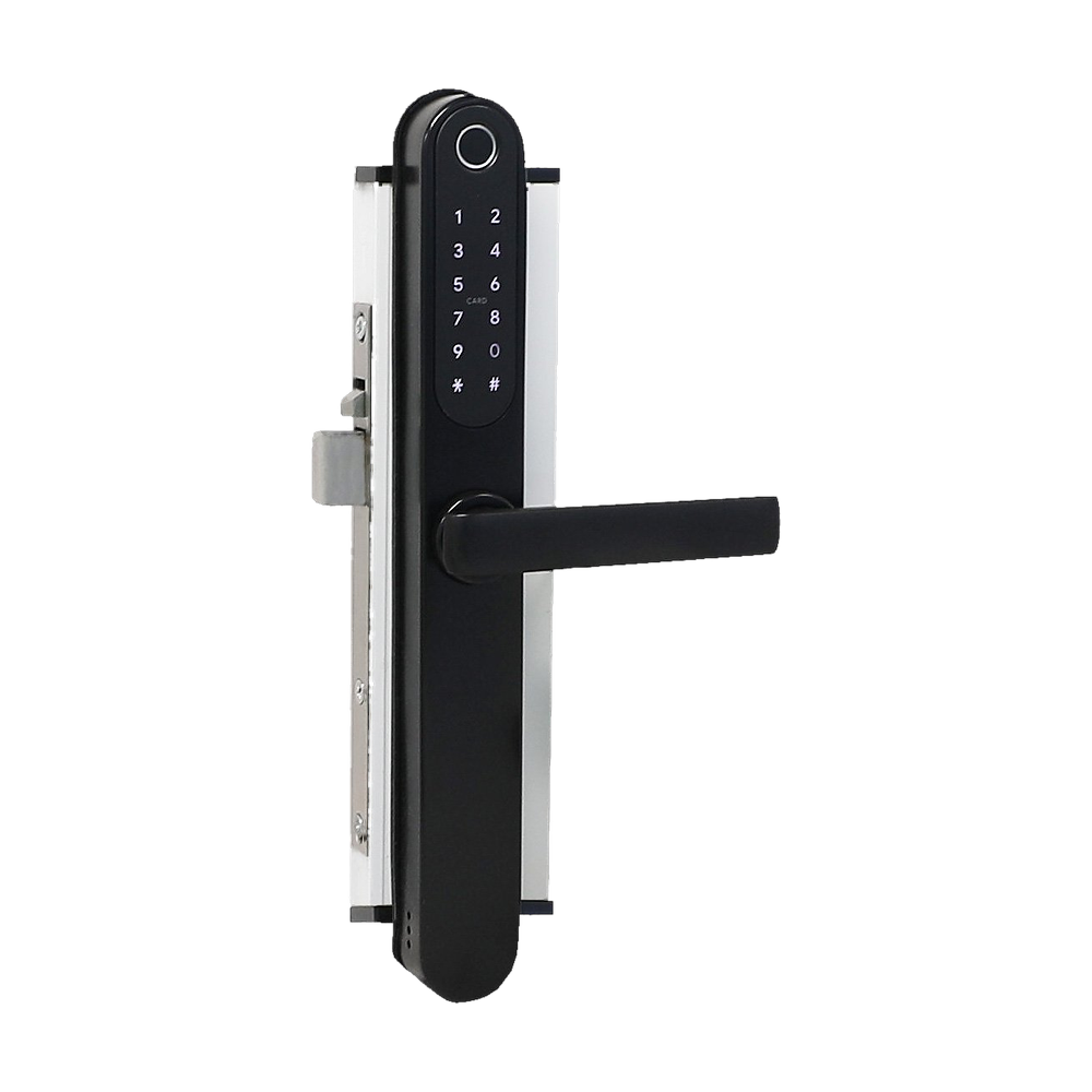Digital Smart Security Screen Entry Door Set Black 305x33mm in Black