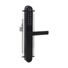 Digital Smart Security Screen Entry Door Set Black 305x33mm in Black