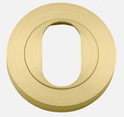 Escutcheon Oval Round Pair Brushed Gold PVD D52xP10mm in Satin Brass PVD