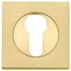 Escutcheon Euro Concealed Fix Square Pair Brushed Gold PVD H52xW52xP10mm in Brushed Gold PVD