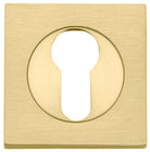 Escutcheon Euro Concealed Fix Square Pair Brushed Gold PVD H52xW52xP10mm in Brushed Gold PVD