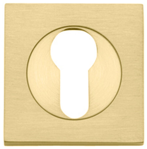 Escutcheon Euro Concealed Fix Square Pair Brushed Gold PVD H52xW52xP10mm in Brushed Gold PVD