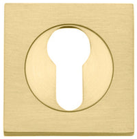 Escutcheon Euro Concealed Fix Square Pair Brushed Gold PVD H52xW52xP10mm in Brushed Gold PVD