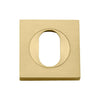 Escutcheon Oval Square Pair Brushed Gold PVD H52xW52xP10mm in Brushed Gold PVD