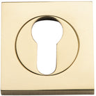 Escutcheon Euro Concealed Fix Square Pair Polished Brass H52xW52xP10mm in Polished Brass