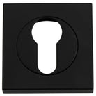 Escutcheon Euro Concealed Fix Square Pair Matt Black H52xW52xP10mm in Matt Black