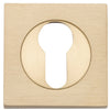 Escutcheon Euro Concealed Fix Square Pair Brushed Brass H52xW52xP10mm in Brushed Brass