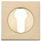 Escutcheon Euro Concealed Fix Square Pair Brushed Brass H52xW52xP10mm in Brushed Brass