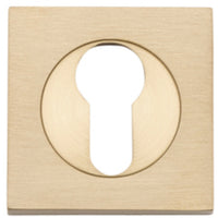 Escutcheon Euro Concealed Fix Square Pair Brushed Brass H52xW52xP10mm in Brushed Brass