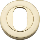 Escutcheon Oval Round Pair Polished Brass D52xP10mm in Polished Brass