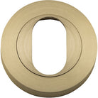 Escutcheon Oval Round Pair Brushed Brass D52xP10mm in Brushed Brass