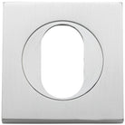 Escutcheon Oval Square Pair Brushed Chrome H52xW52xP10mm in Brushed Chrome