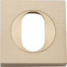 Escutcheon Oval Square Pair Brushed Brass H52xW52xP10mm in Brushed Brass