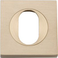 Escutcheon Oval Square Pair Brushed Brass H52xW52xP10mm in Brushed Brass