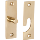 Fanlight Swivel Polished Brass H73xW23mm in Polished Brass