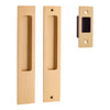 Sliding Door Pull Rectangular Pair Brushed Brass H225xW45xP2.5mm in Brushed Brass